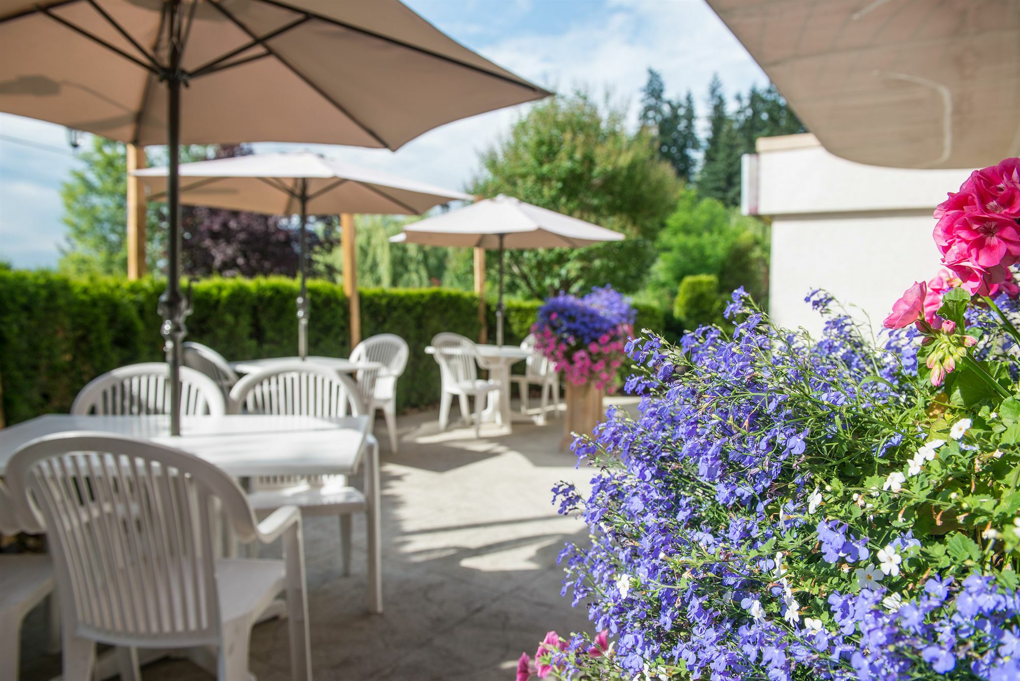 Hilltop Inn - Salmon Arm Ngoại thất bức ảnh