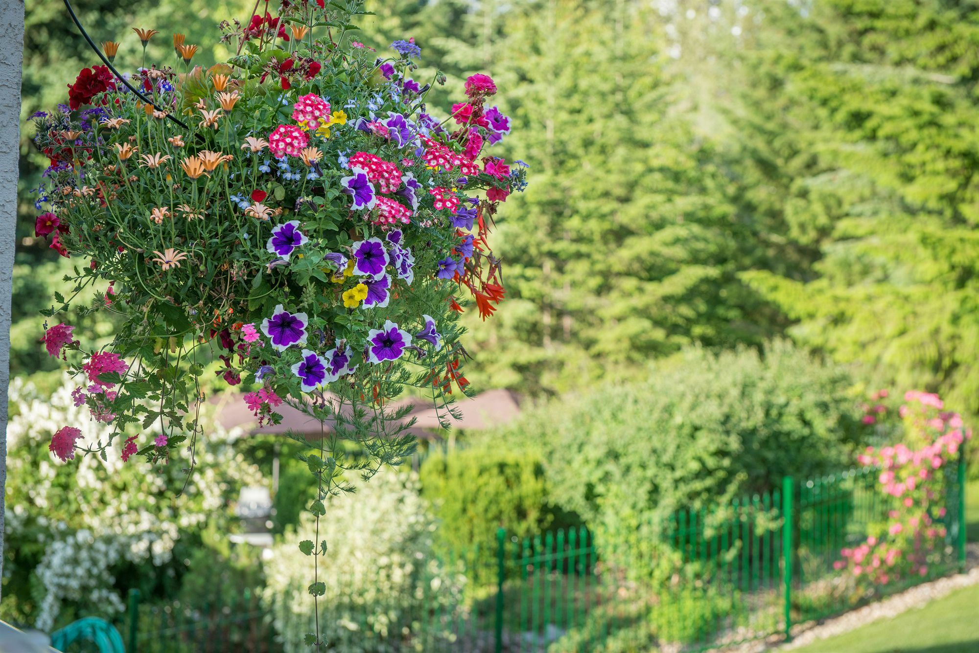 Hilltop Inn - Salmon Arm Ngoại thất bức ảnh