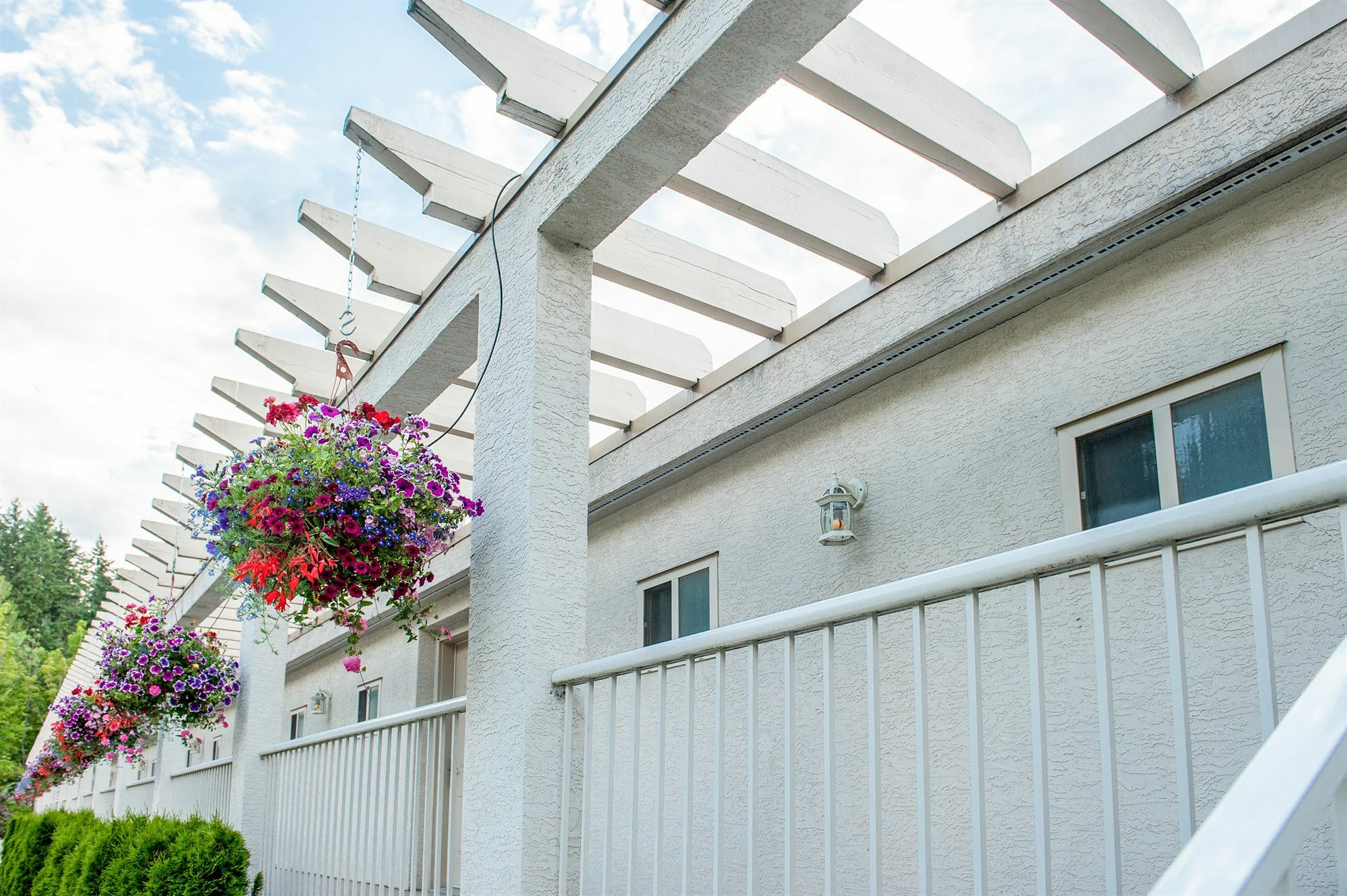 Hilltop Inn - Salmon Arm Ngoại thất bức ảnh
